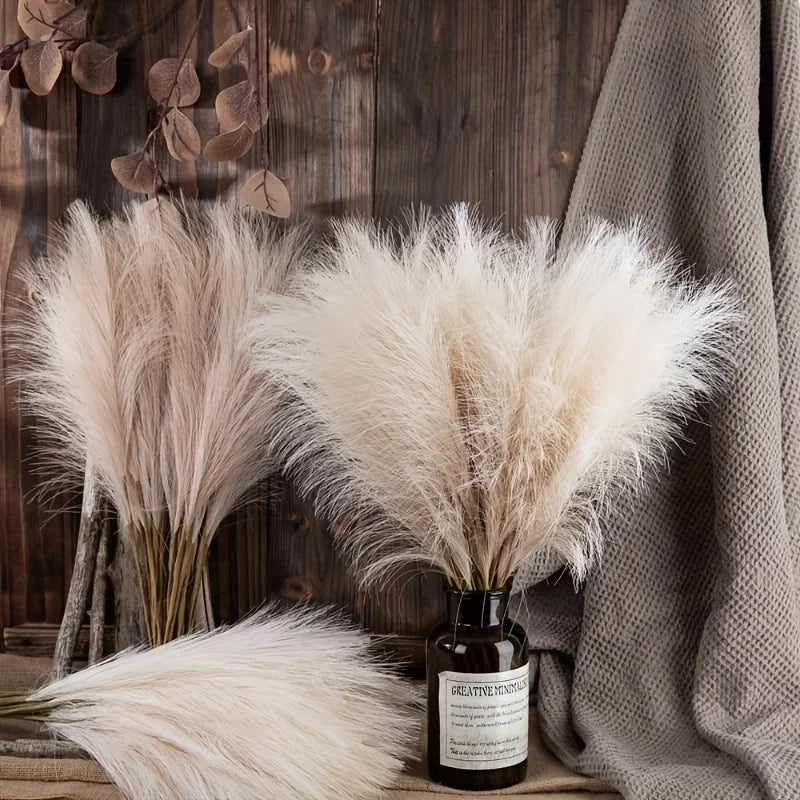 The Elowen Pampas Stems (Set of 10)