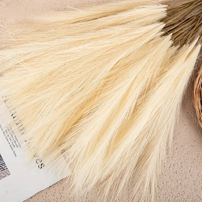 The Elowen Pampas Stems (Set of 10)