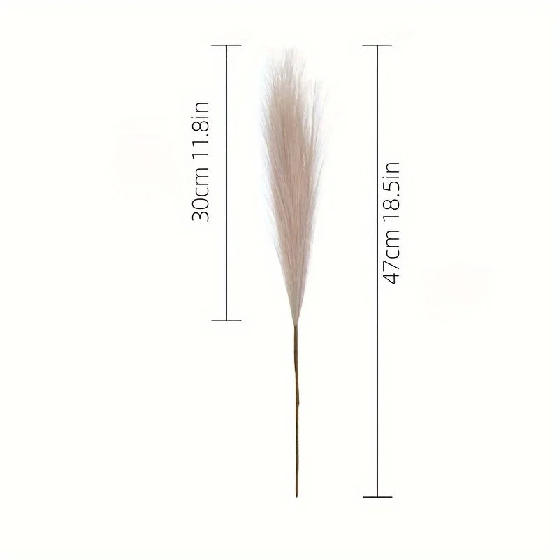 The Elowen Pampas Stems (Set of 10)