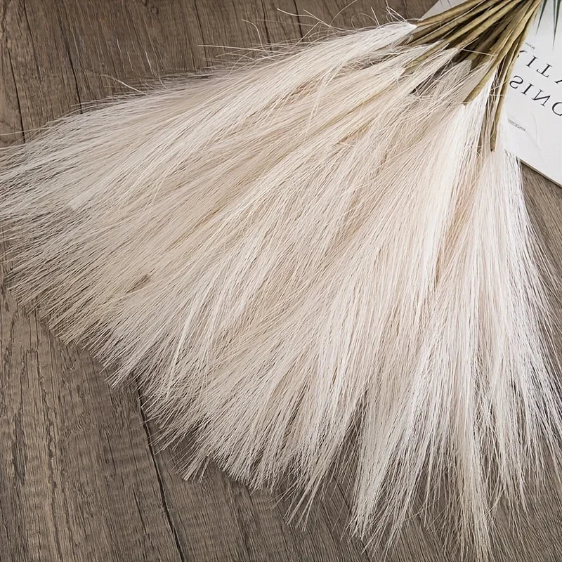 The Elowen Pampas Stems (Set of 10)