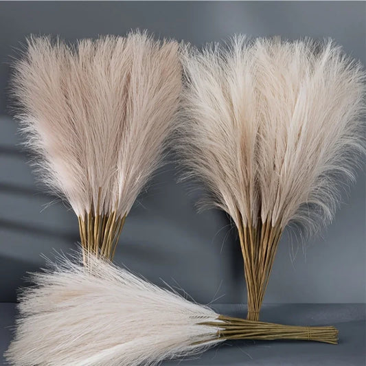 The Elowen Pampas Stems (Set of 10)