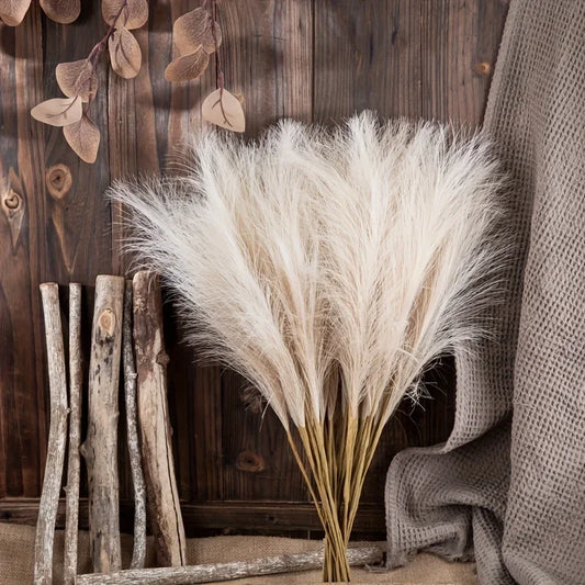 The Elowen Pampas Stems (Set of 10)